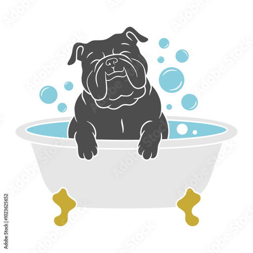 English Bulldog in Bathtub