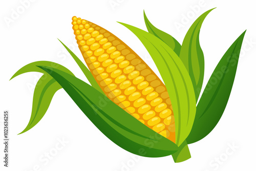 Isolated fresh corn vector illustration