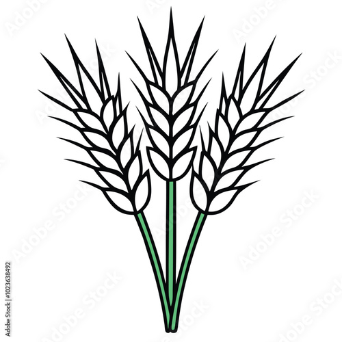 wheat colorful vector.