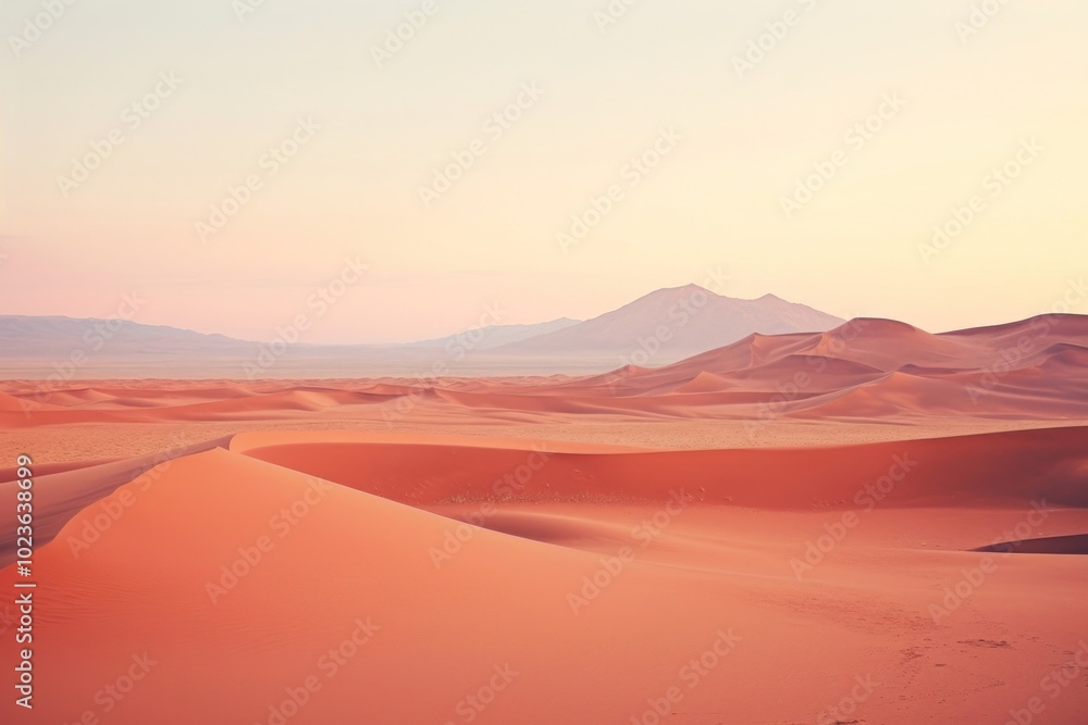 The namib desert landscape outdoors horizon. The namib desert landscape outdoors horizon.