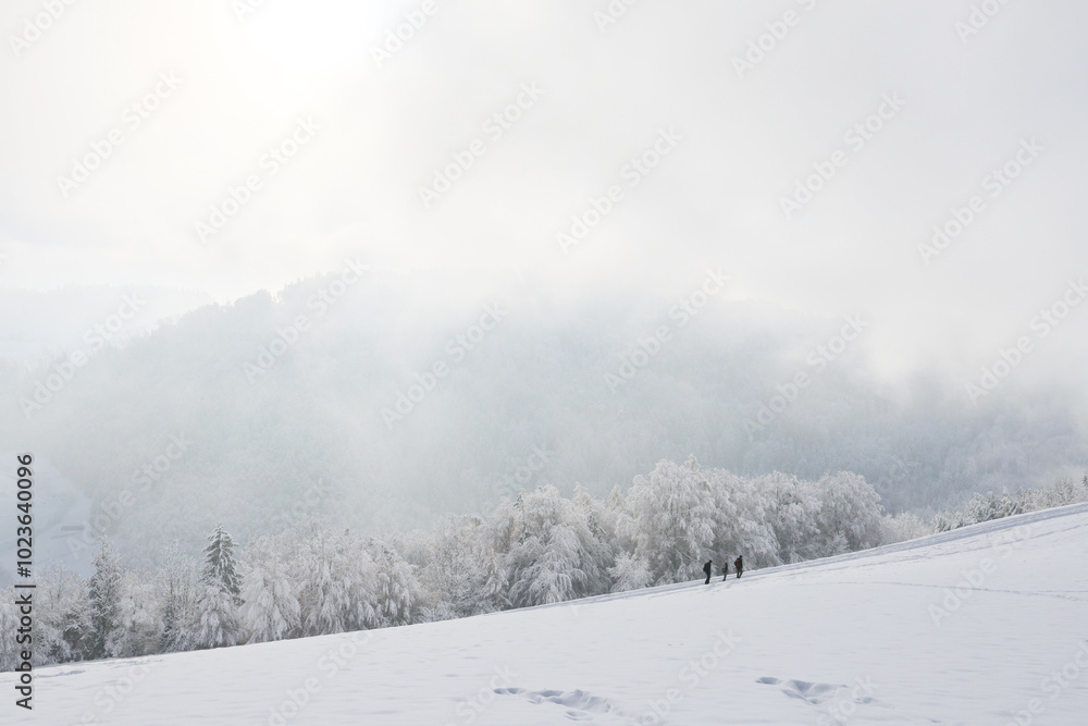 Group of people hiking up a snowy hill, winter landscape background Group of people hiking up a snowy hill, winter landscape background