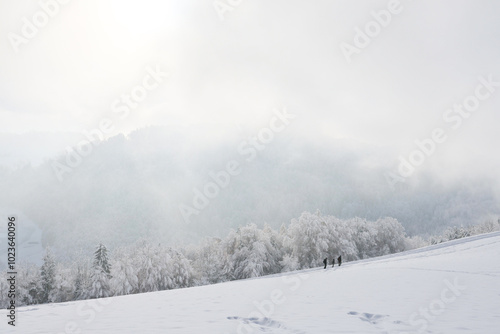 Group of people hiking up a snowy hill, winter landscape background