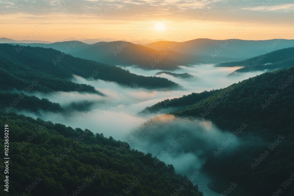 The rising sun is illuminating the morning mist over the green hills The rising sun is illuminating the morning mist over the green hills