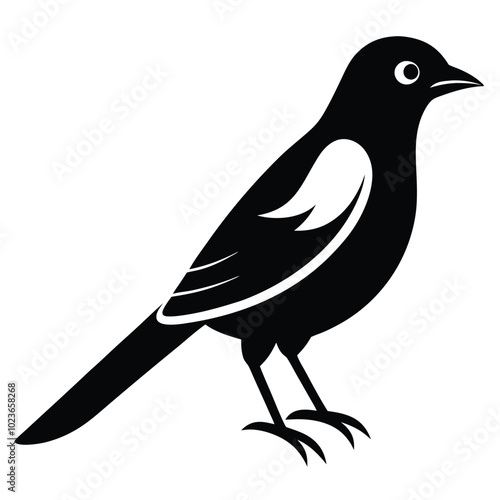 Solid color Orchard Oriole animal vector design