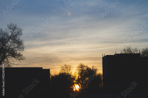 Silhouettes of trees at sunset. Dark tree branches against the bright sun.