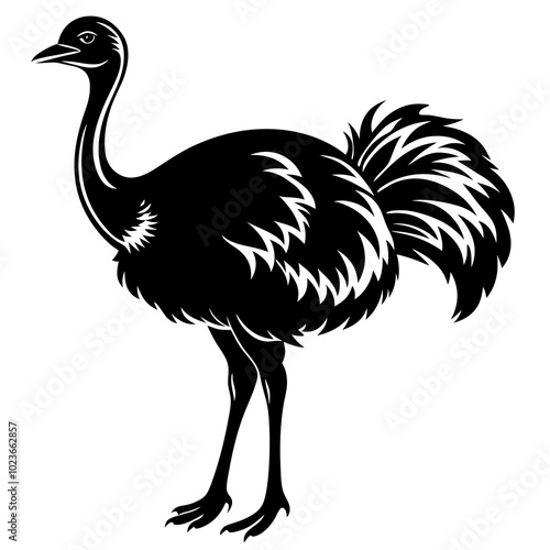 ostrich silhouette vector black animal illustration