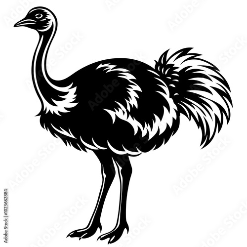 ostrich silhouette vector black animal illustration