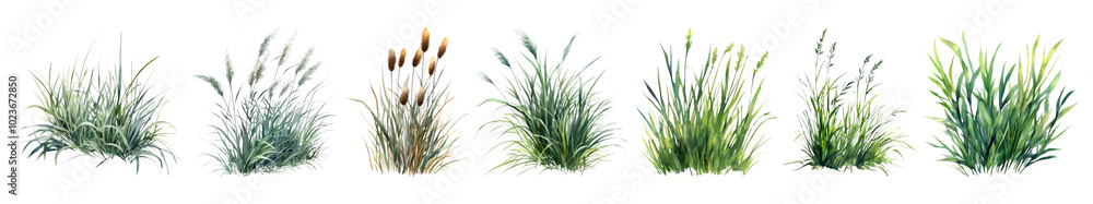 Obraz premium Spring garden png cut out element set