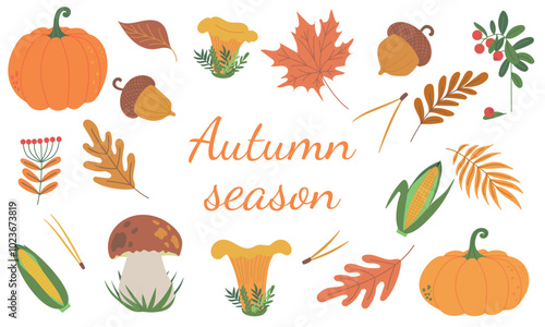 Set of vector beautiful symbols for autumn fall pumpkins, autumn falling leaves, chanterelle, porcini mushrooms, acorn, corn cob and cranberry. Hand drawn flat designs, icons. Hello autumn frame