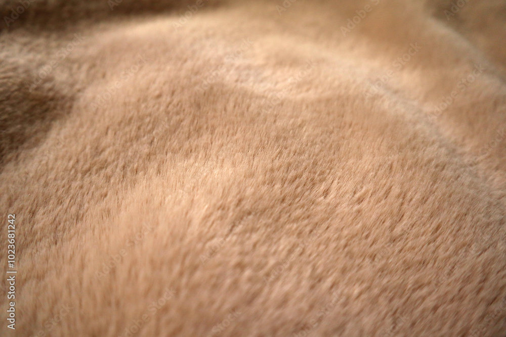 Plush texture background. Fur texture background. Plush texture background. Fur texture background.
