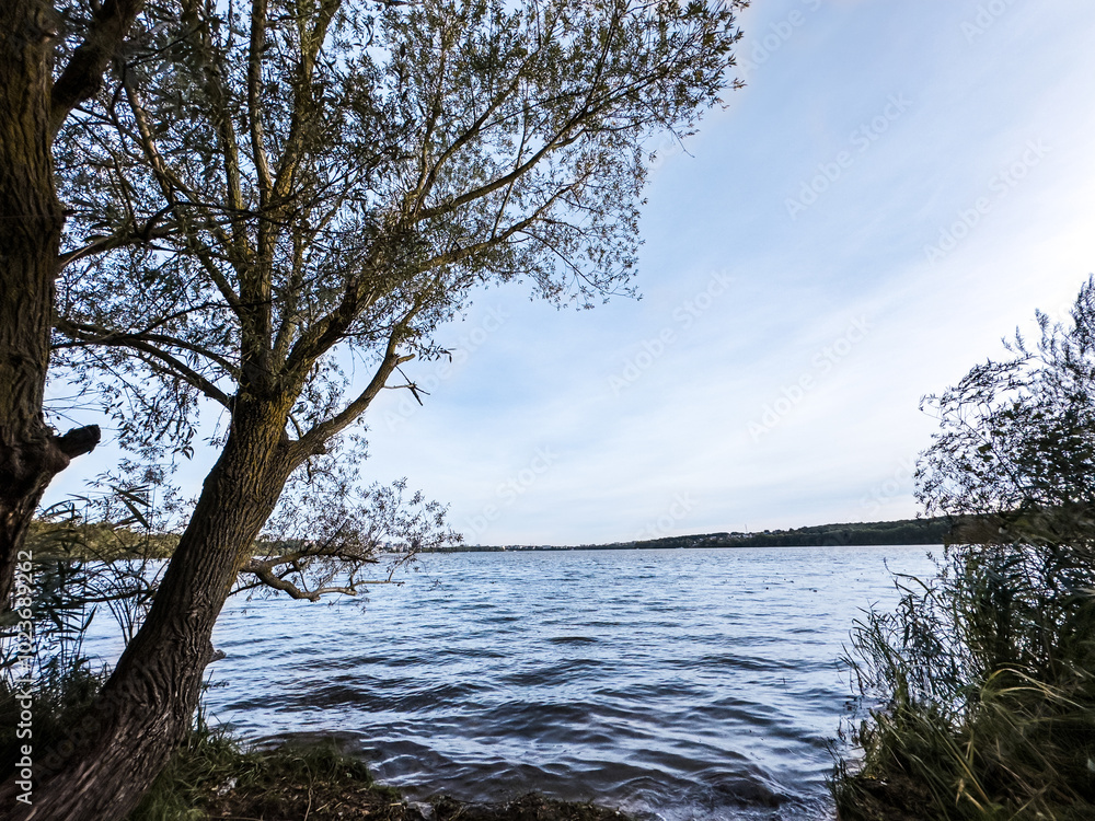 Photo on the shore of the lake Photo on the shore of the lake