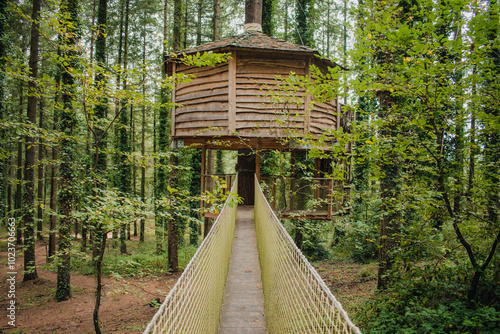 Wooden cabin