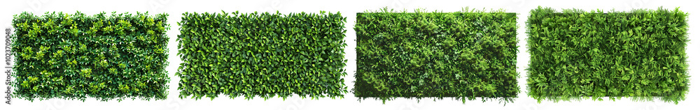 Obraz premium Set of green plant wall panels, cut out