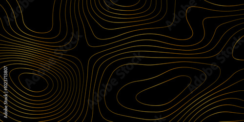 Abstract wave paper curved reliefs background .gradient multicolor wave curve lines banner background design .topographic contours map background .Vector geographic contour map.	