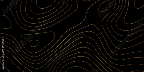 Abstract wave paper curved reliefs background .gradient multicolor wave curve lines banner background design .topographic contours map background .Vector geographic contour map.	