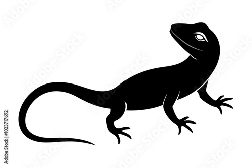 lizard isolated on white