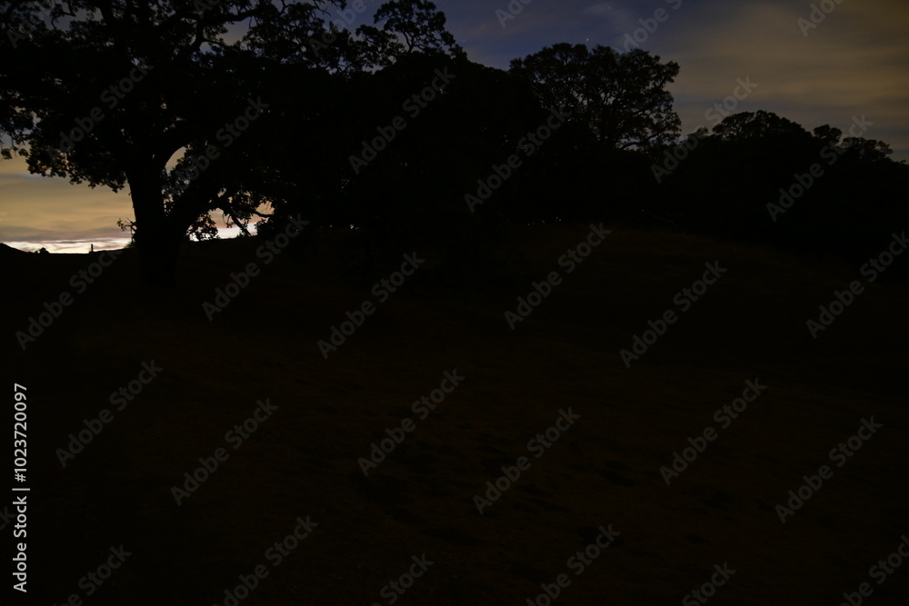 Fototapeta premium night