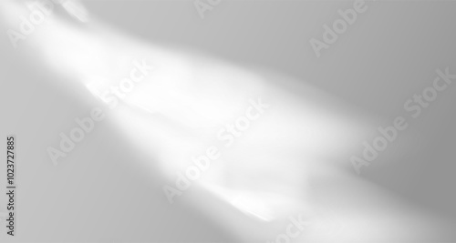 Glare from the sun's rays on the wall. Blurred shadows in the room. Soft overlay of natural light. Abstract background for product presentation.Natural light layout.