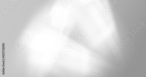 Glare from the sun's rays on the wall. Blurred shadows in the room. Soft overlay of natural light. Abstract background for product presentation.Natural light layout.