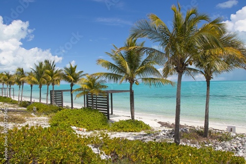 Fototapeta Naklejka Na Ścianę i Meble -  Splashing in warm, colorful blue waters of Long Bay Beach in Turks and Caicos Islands.