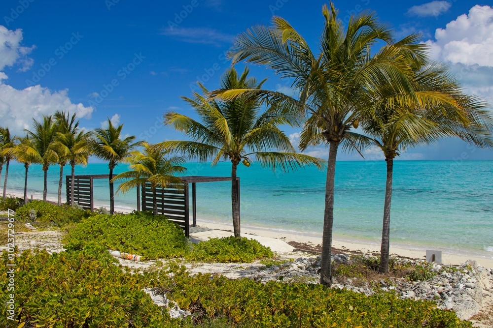 Splashing in warm, colorful blue waters of Long Bay Beach in Turks and Caicos Islands. Splashing in warm, colorful blue waters of Long Bay Beach in Turks and Caicos Islands.