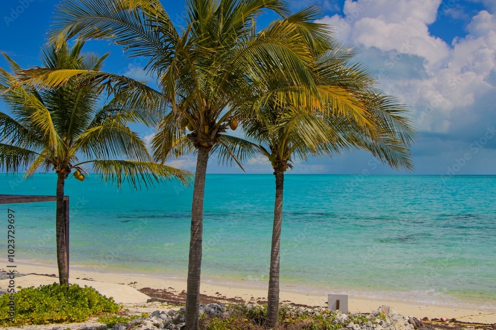 Fototapeta premium Splashing in warm, colorful blue waters of Long Bay Beach in Turks and Caicos Islands.