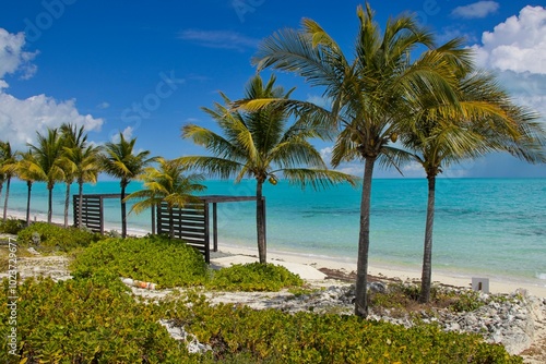 Splashing in warm, colorful blue waters of Long Bay Beach in Turks and Caicos Islands.