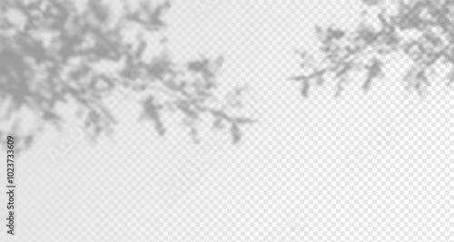 Glare from the sun's rays on the wall. Blurred shadows from leaves and plants in the room. Soft overlay of natural light. Abstract background for product presentation.Natural light layout.