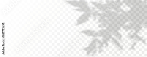 Glare from the sun's rays on the wall. Blurred shadows from leaves and plants in the room. Soft overlay of natural light. Abstract background for product presentation.Natural light layout.