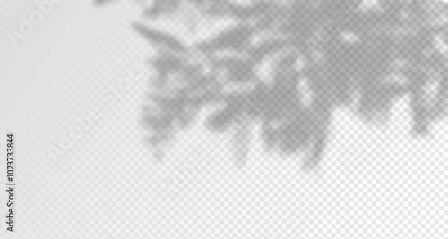 Glare from the sun's rays on the wall. Blurred shadows from leaves and plants in the room. Soft overlay of natural light. Abstract background for product presentation.Natural light layout.