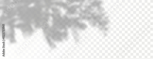 Glare from the sun's rays on the wall. Blurred shadows from leaves and plants in the room. Soft overlay of natural light. Abstract background for product presentation.Natural light layout.