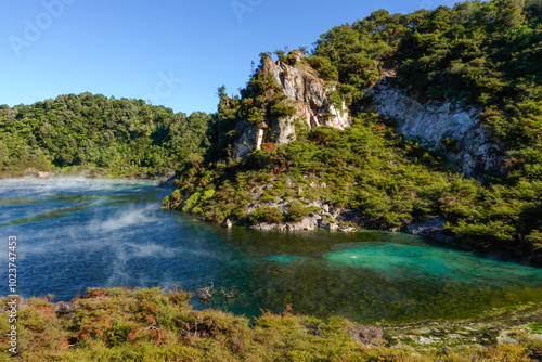 Frying pan lake in Waimangu Volcanic Rift Valley, New Zealand