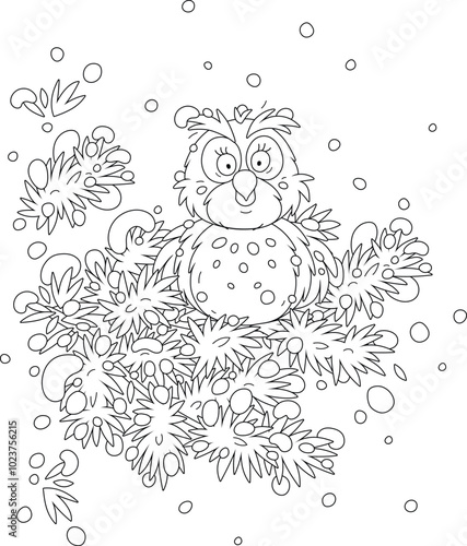 Wise northern owl with large round eyes perched on a snowy fir branch in a thicket of a winter wild forest, black and white outline vector cartoon illustration for a coloring book