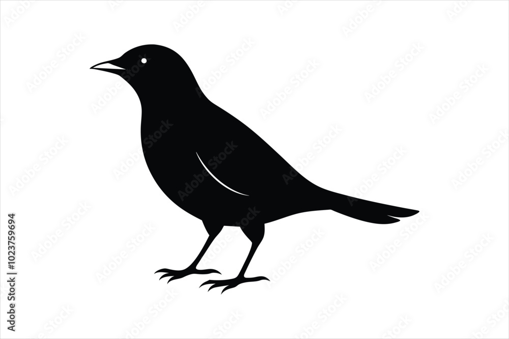 Fototapeta premium Thrush bird silhouette black vector art illustration.