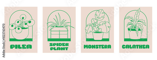 Set of posters house plants: monstera, pile a, spider plant, calathea. Outline plant in pot in retro style.