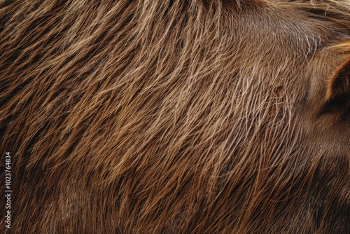 Close up texture of brown horse fur pattern. photo