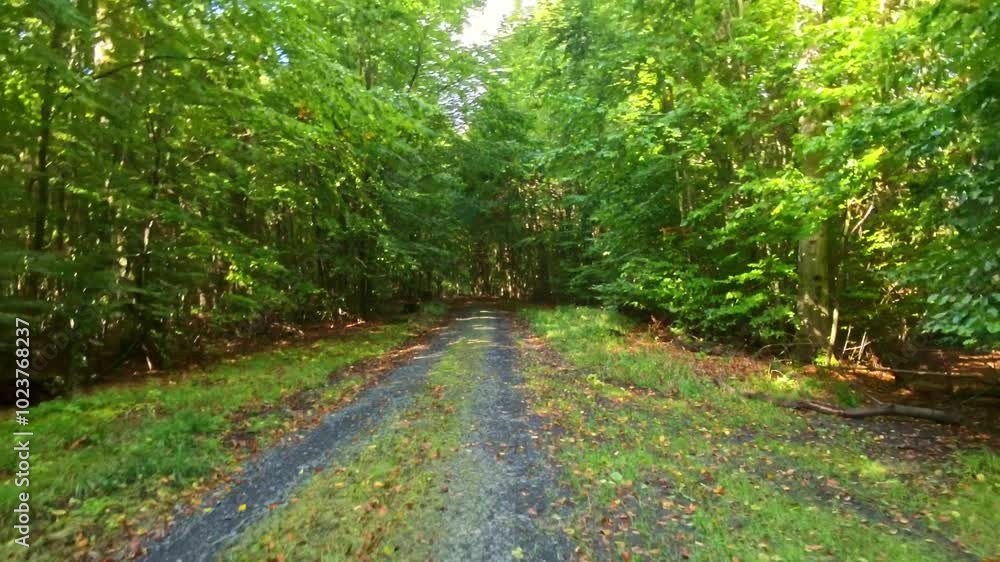 durch den sonnigen grünen Wald, Weg, Fährte, Natur, Mountainbiken, Fahrradfahren, Wandern, Sport, Bewegung, schnell, Drohne
durch den sonnigen grünen Wald, Weg, Fährte, Natur, Mountainbiken, Fahrradfahren, Wandern, Sport, Bewegung, schnell, Drohne
