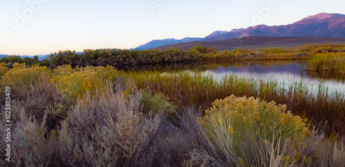 Thermal Pools Near Mono Lake at Sunrise