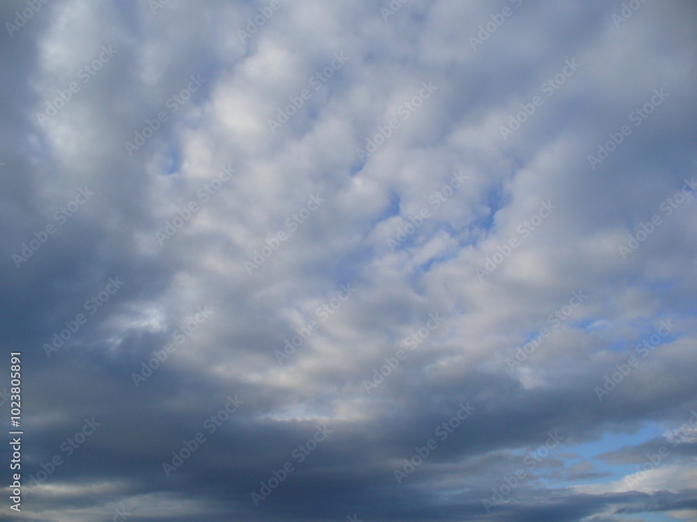 Blue sky with white and gray clouds and flock of birds Rooks, Corvus frugilegus in flight - natural background. Topics: weather, meteorology, atmosphere, sky space, season, ornithology Blue sky with white and gray clouds and flock of birds Rooks, Corvus frugilegus in flight - natural background. Topics: weather, meteorology, atmosphere, sky space, season, ornithology