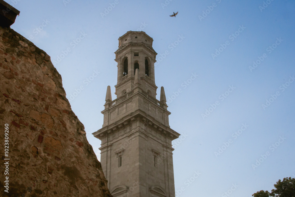 Fototapeta premium Campanile del Duomo di Verona tower around the corner and a ruin wall and with a bird in the sky. Verona, Italy