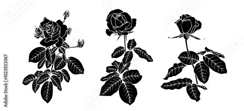 Set of silhouettes,stamps of flowers and rosebuds.Decorative botanical elements.Vector graphics.
