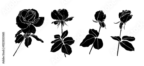 Set of silhouettes,stamps of flowers and rosebuds.Decorative botanical elements.Vector graphics.
