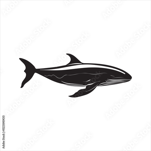 black whale,fish, dolphin, shark, animal, sea, vector, ocean, blue, cartoon, illustration, white, isolated, water, mammal, marine, fin, underwater, silhouette, nature, art, swimming, wildlife, black, 