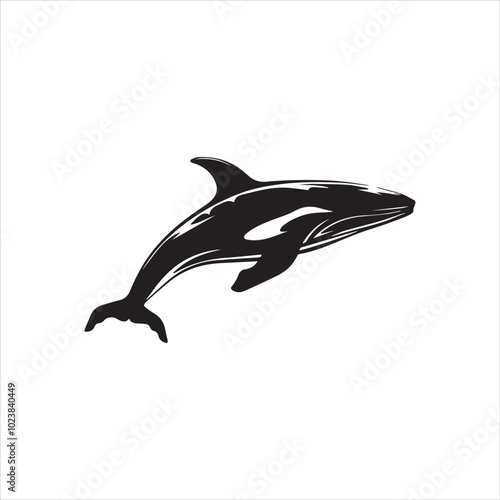 black whale,fish, dolphin, shark, animal, sea, vector, ocean, blue, cartoon, illustration, white, isolated, water, mammal, marine, fin, underwater, silhouette, nature, art, swimming, wildlife, black, 