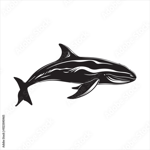 black whale,fish, dolphin, shark, animal, sea, vector, ocean, blue, cartoon, illustration, white, isolated, water, mammal, marine, fin, underwater, silhouette, nature, art, swimming, wildlife, black, 