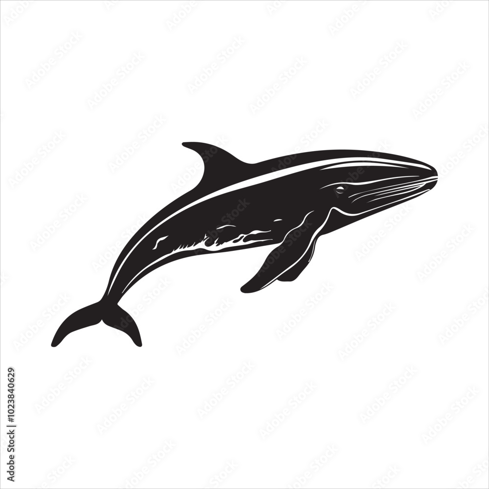Obraz premium black whale,fish, dolphin, shark, animal, sea, vector, ocean, blue, cartoon, illustration, white, isolated, water, mammal, marine, fin, underwater, silhouette, nature, art, swimming, wildlife, black, 
