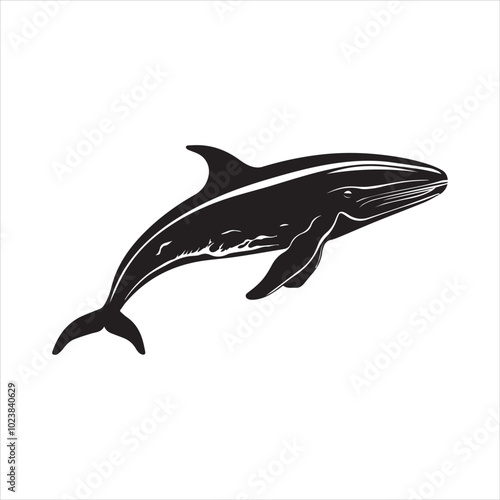 black whale,fish, dolphin, shark, animal, sea, vector, ocean, blue, cartoon, illustration, white, isolated, water, mammal, marine, fin, underwater, silhouette, nature, art, swimming, wildlife, black, 