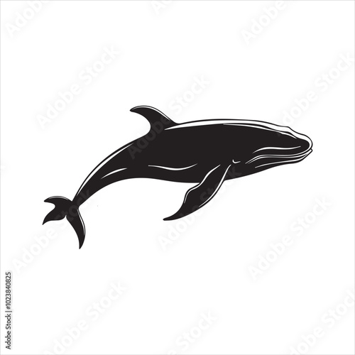 black whale,fish, dolphin, shark, animal, sea, vector, ocean, blue, cartoon, illustration, white, isolated, water, mammal, marine, fin, underwater, silhouette, nature, art, swimming, wildlife, black, 