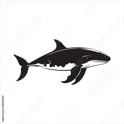 black whale,fish, dolphin, shark, animal, sea, vector, ocean, blue, cartoon, illustration, white, isolated, water, mammal, marine, fin, underwater, silhouette, nature, art, swimming, wildlife, black, 