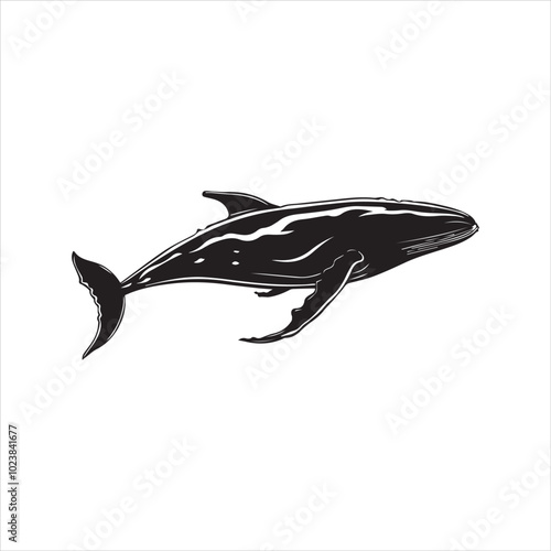 black whale,fish, dolphin, shark, animal, sea, vector, ocean, blue, cartoon, illustration, white, isolated, water, mammal, marine, fin, underwater, silhouette, nature, art, swimming, wildlife, black, 